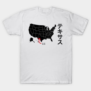 This is Texas / I am from Texas T-Shirt